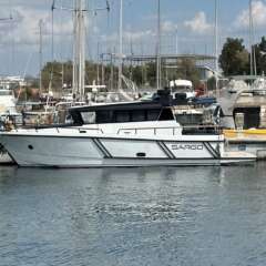 XIOS | SARGO 36