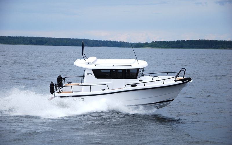 Sargo 25